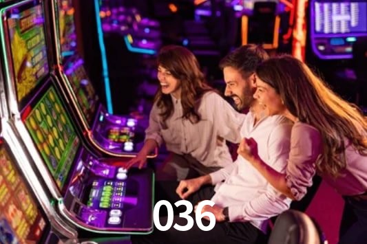 Programa VIP 036